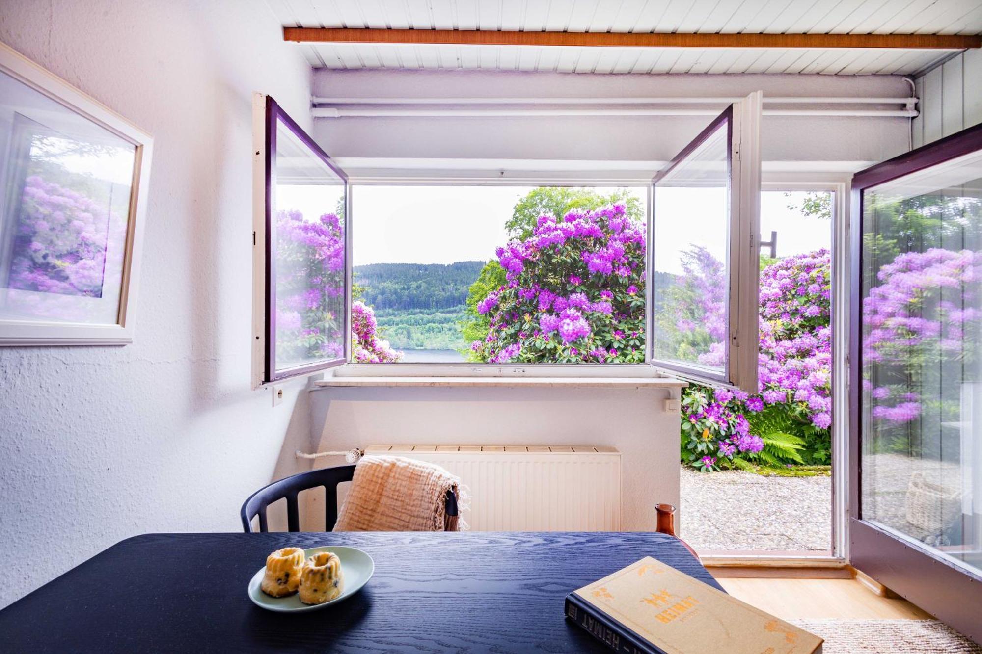Black Forest Apartments Titisee Εξωτερικό φωτογραφία
